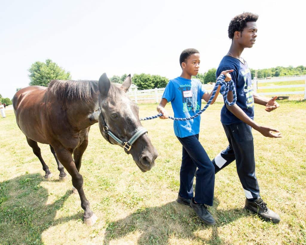 Detroit Horse Power