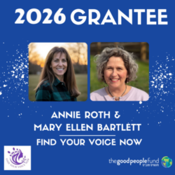 Find Your Voice Now